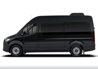 VIP Luxury Midivan